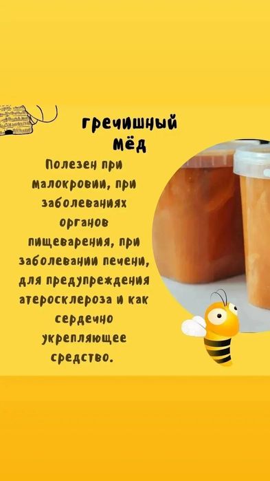 Бал (Мёд) Катон Қарағайдікі