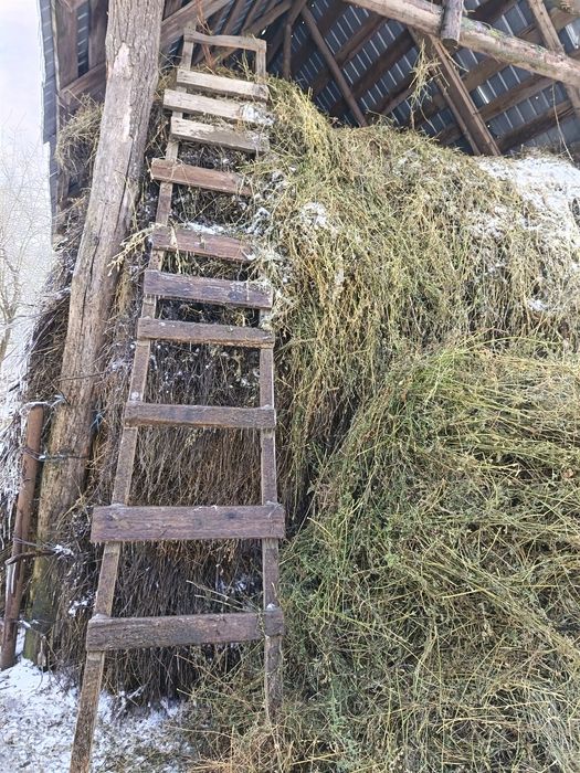 Văd  fân baloți și vrac amestecat cu lucerna