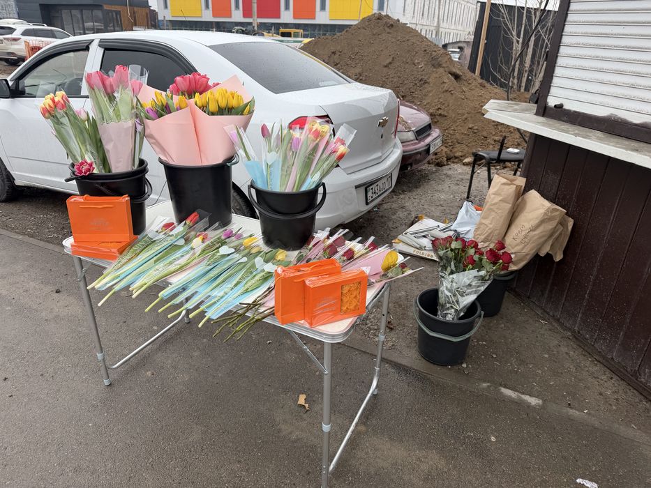 Тюльпаны все по 800 тг