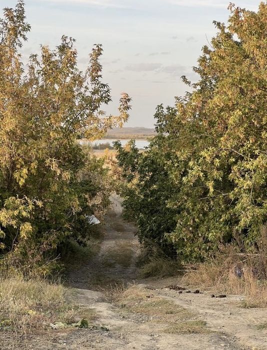 Продам земельный участок