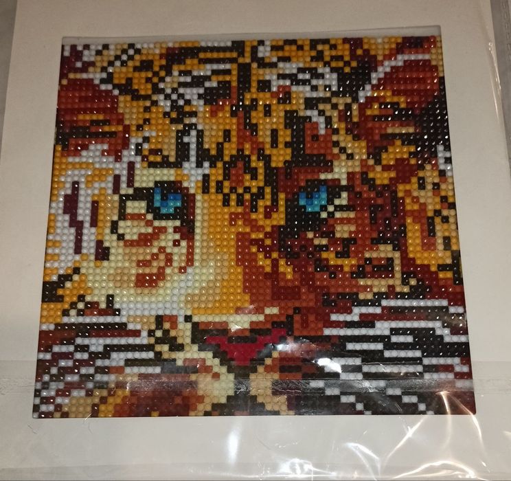 Картина алмазная вышивка готовая, 20х20