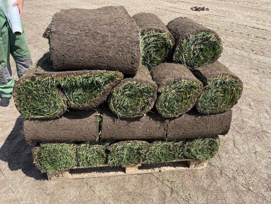 Rulouri de gazon in Bucuresti si imprejurimi