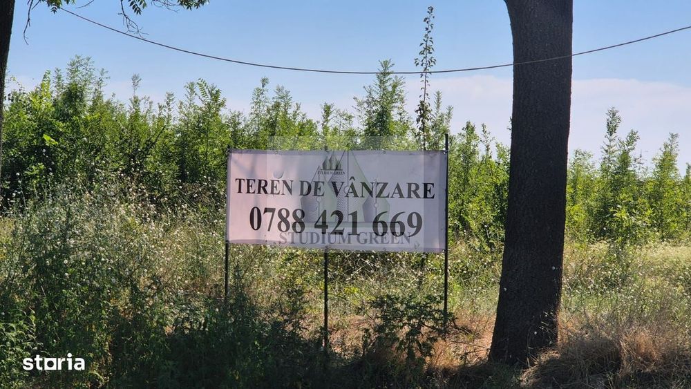 Teren intravilan 12828 mp  Cernica/Pantelimon- ideal sala evenimente