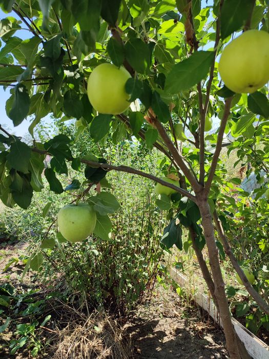 Продам дом мкр. Сарыарка