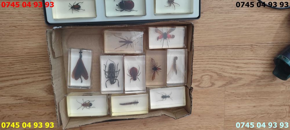 insecte in rasina deagostini 22 buc pret pe toate