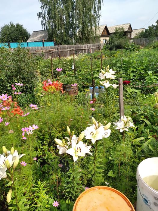 Продам дачу содовое общество строителей