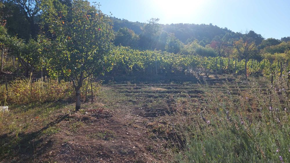 Продава се Къща в Враца, Студентски град - 30 кв.м за 442 €/кв.м - Снимка #5