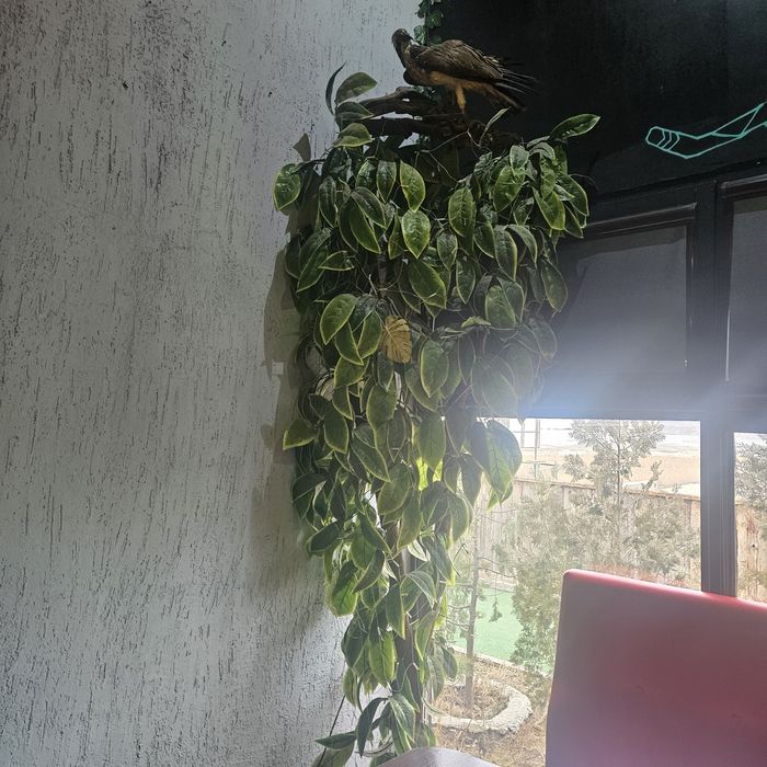 Искусственное дерево