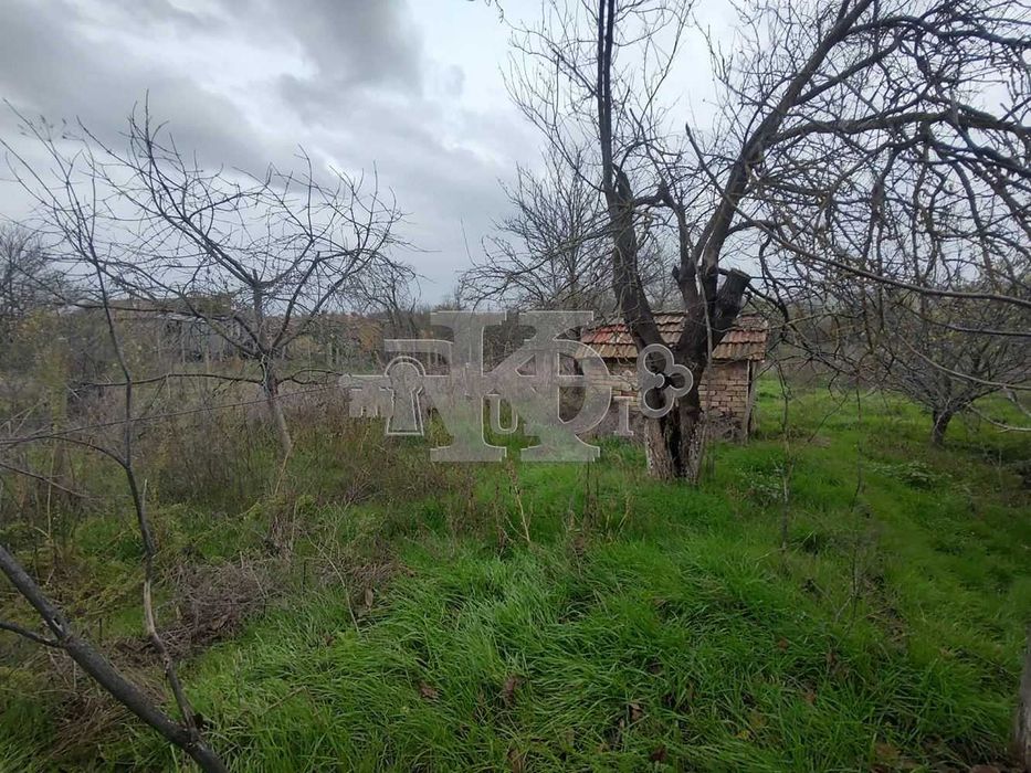 Полковник Иваново, общ. Добрич, стабилна тухлена къща с двор