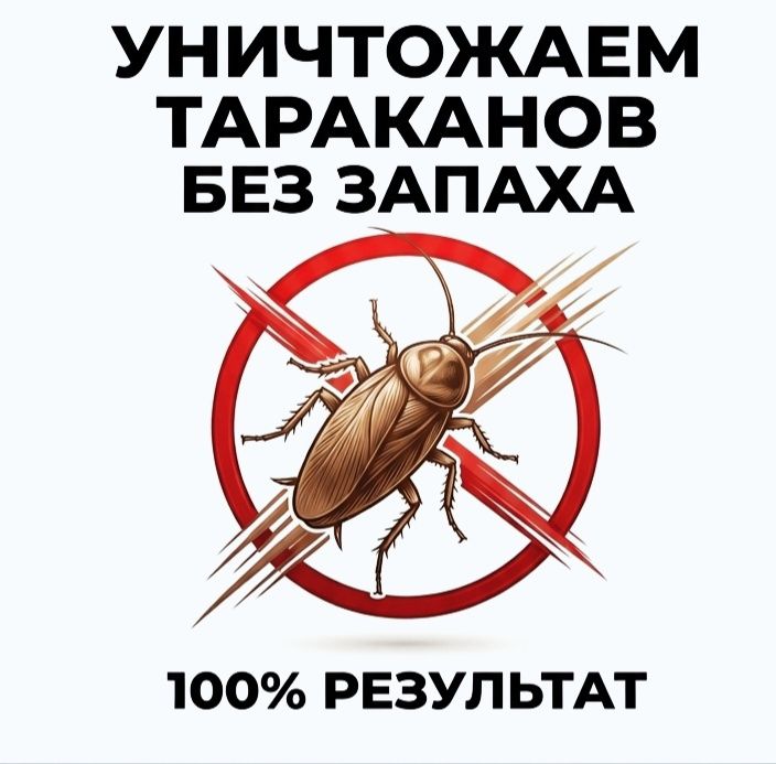 Дезинфекция сапалы! Дизинфекция дезинсекция дизенфекция Алматы