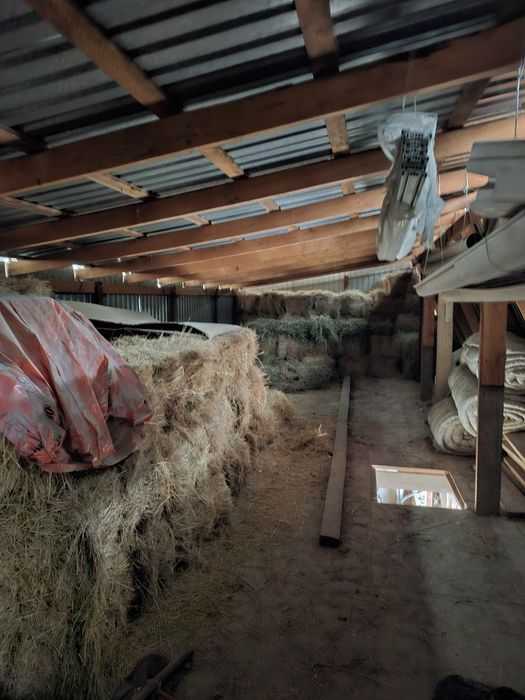 Шөп бар малға срочно