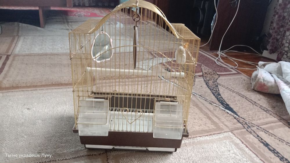 Продам клетку не дорого