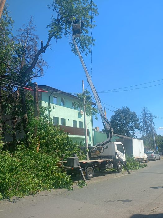 Servicii de curățenie generală apartamente