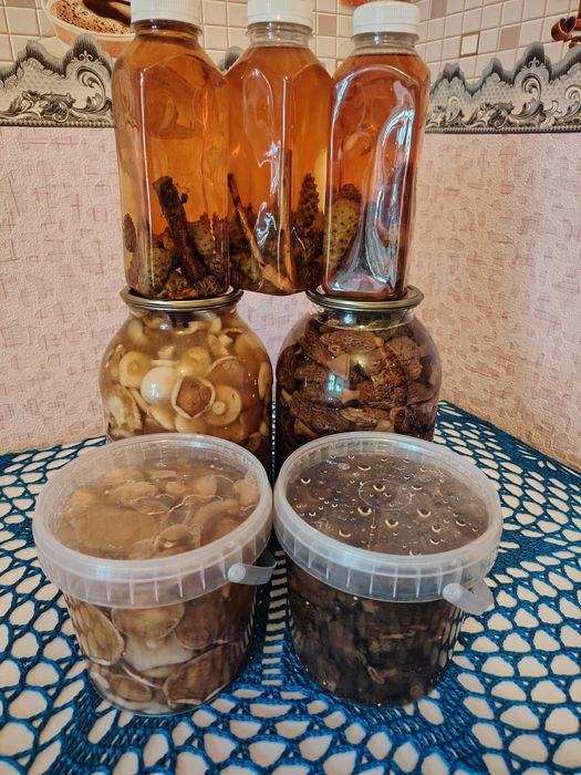 Маринованные грибы.