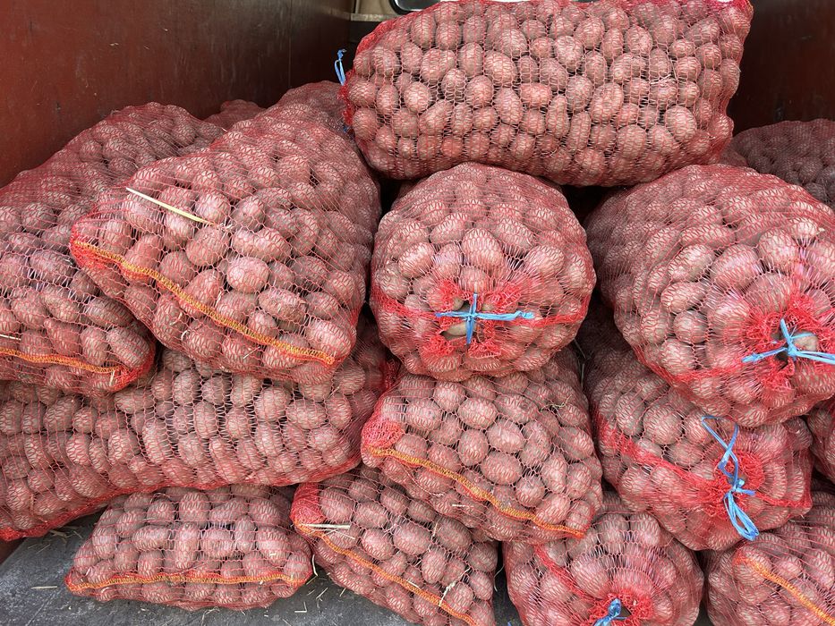 Vand cartofi de samanta