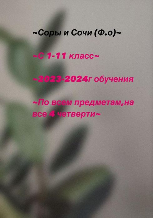 Сор Соч 2023/2024