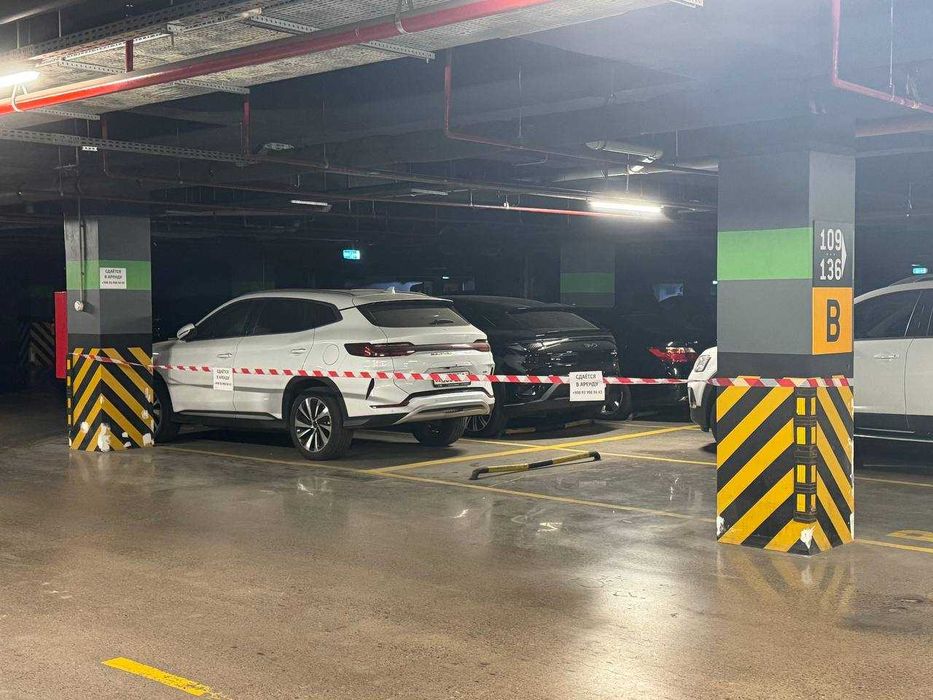 Toshkent City’da stoyanka ijaraga beriladi!