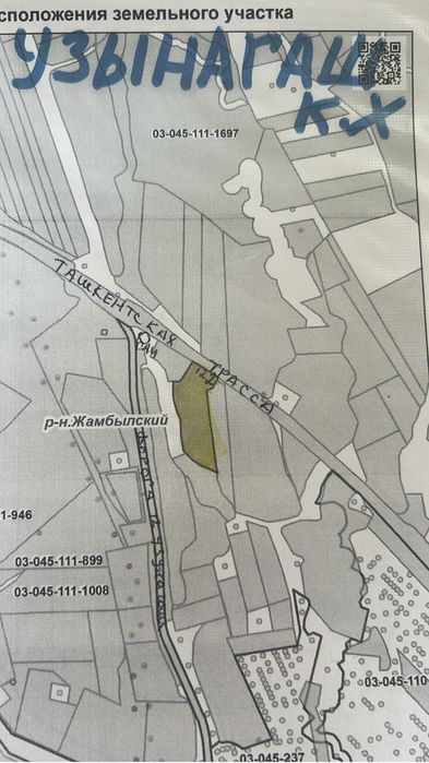 Трассаның бойянда, Ұзынағашқа жақын жерде КХ сатылады.