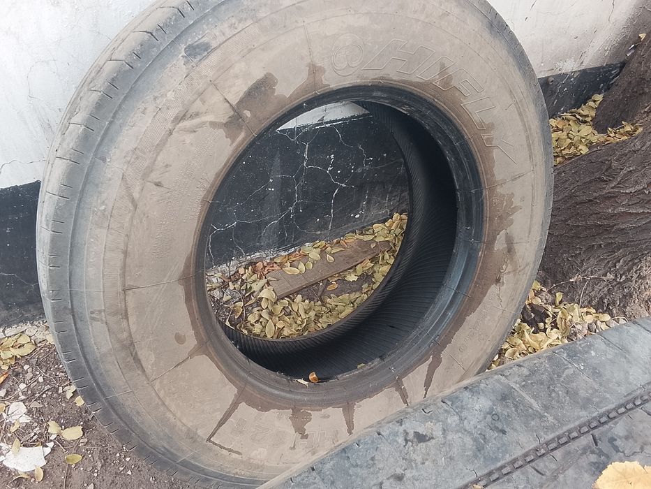 Шина на КамАЗ евро