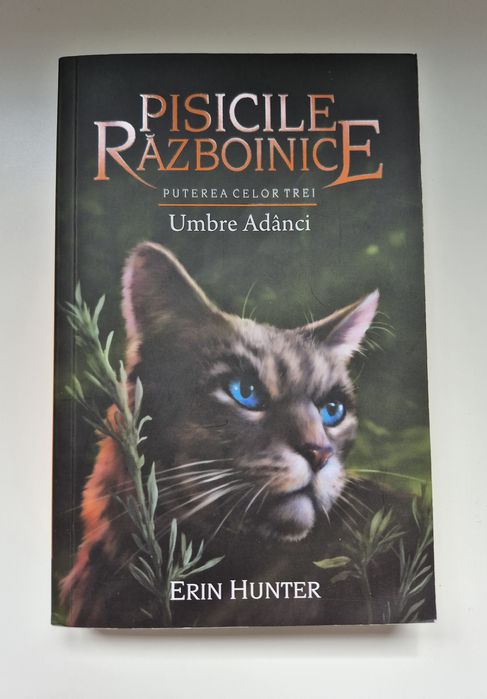 Pisicile Războinice - Puterea Celor Trei