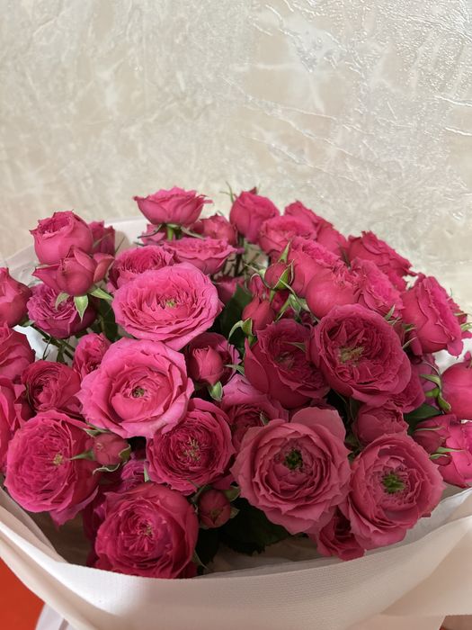 Цветы кустовые продаю срочно