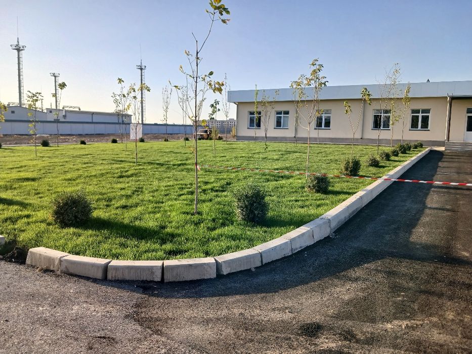 Gazon ekish xizmati.