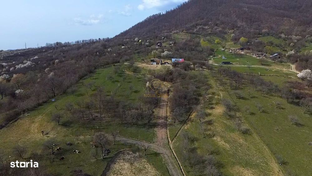 Oportunitate !Teren 1 Hectar Strada Nucului -Priveliste Panoramica