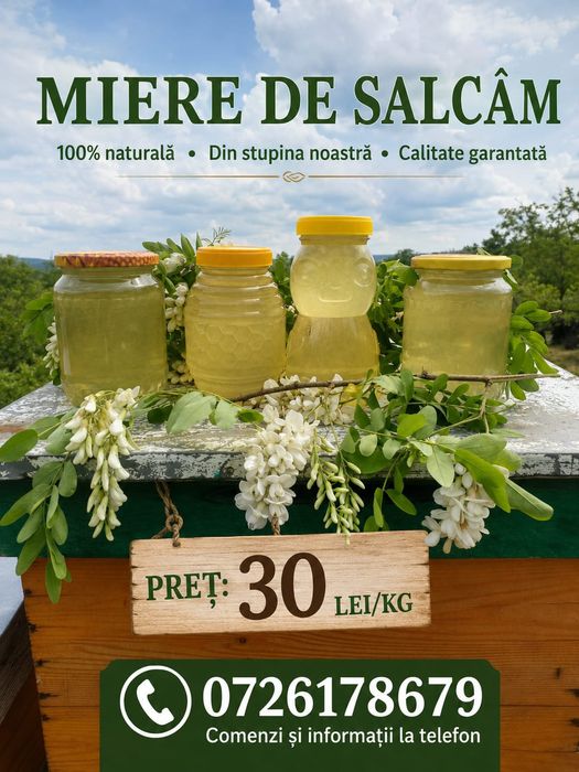 Miere de salcâm  30 lei kg