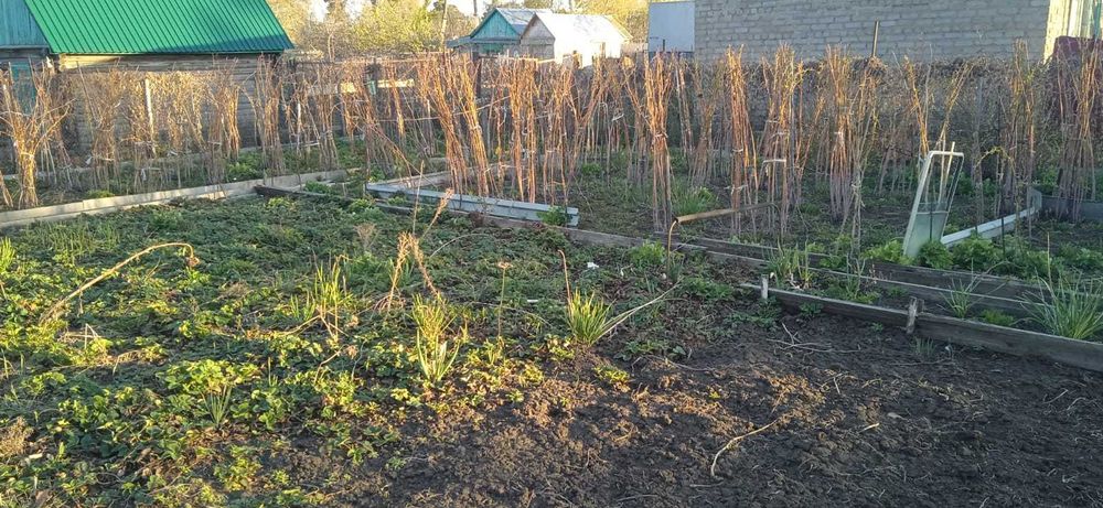 Продам дачу СО Садовод