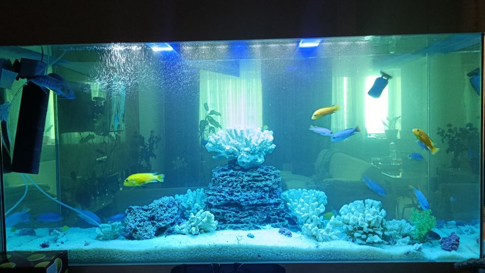 Обслуживание аквариумов