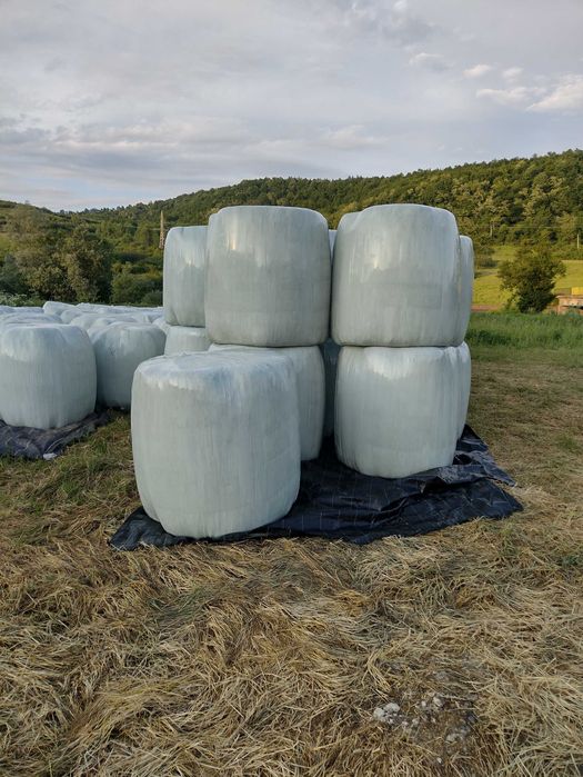 Baloți de lucernă ecologică infoliati recolta 2025