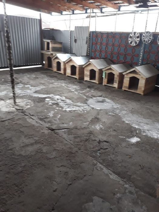 Будка для собаки