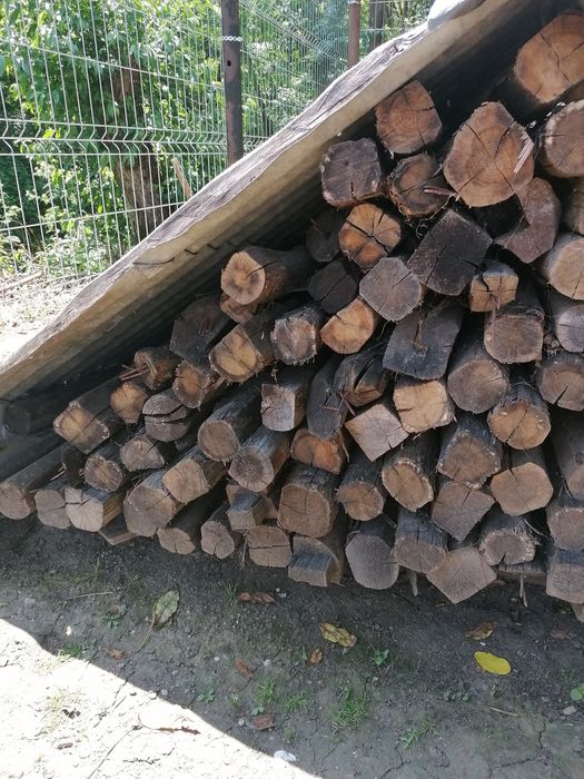 Pari din lemn pentru împrejmuire