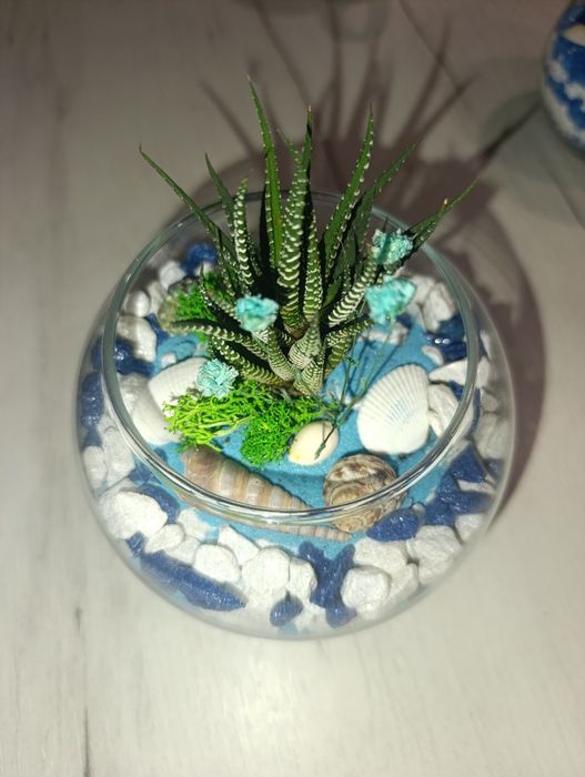 Продам флорариум