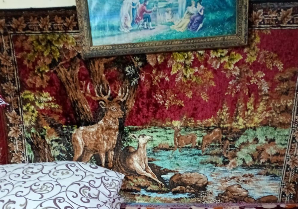 Vând tot ce se afla în aceste fotografii la prețul de 3500 de lei