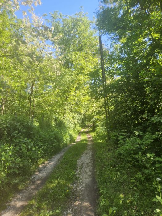 Teren 2600 m2 Ocnele Mari intravilan