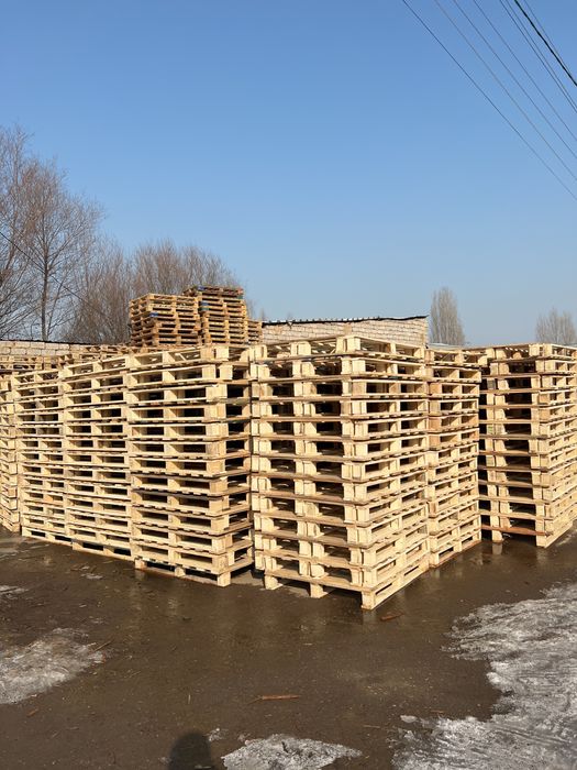 Paddonlar Xar Xil Razmerda Zakazga Yasab Beramz