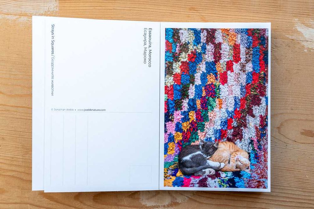 Книжки и пощенски карти на Бездомните Животни