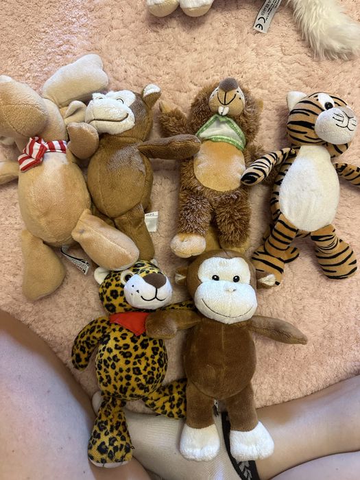 Kinder plusuri 20 lei