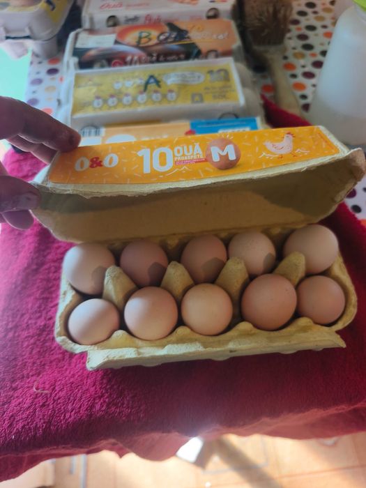 Brahma HD, Porțelan,Albastru,Splash