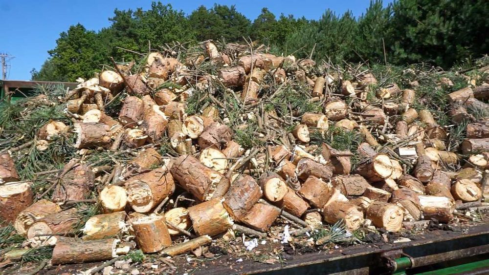 tocător crengi r 120 bandă rulantă 2.3 m