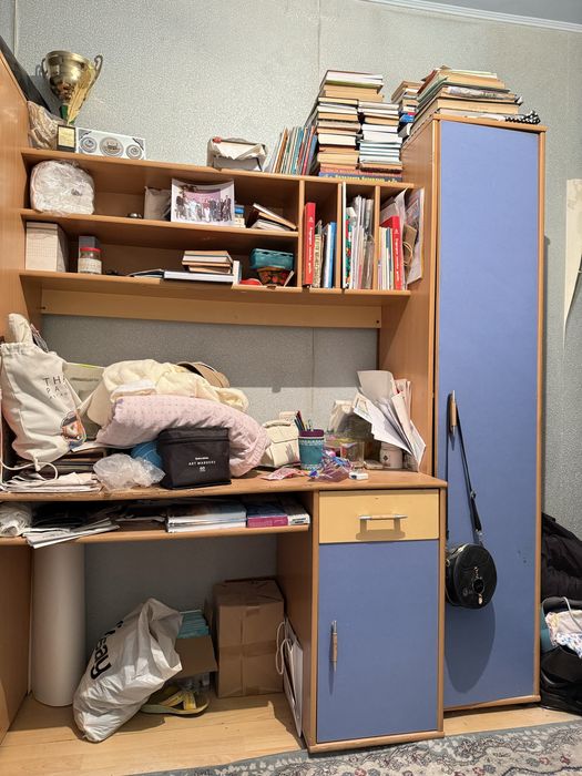 Шкаф/стол/пенал три в одном