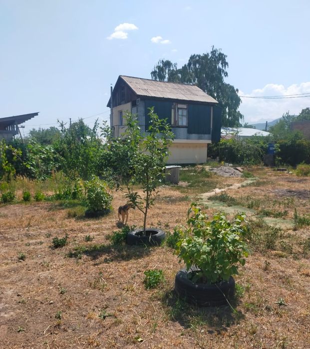 Дом,  посёлок  Актас