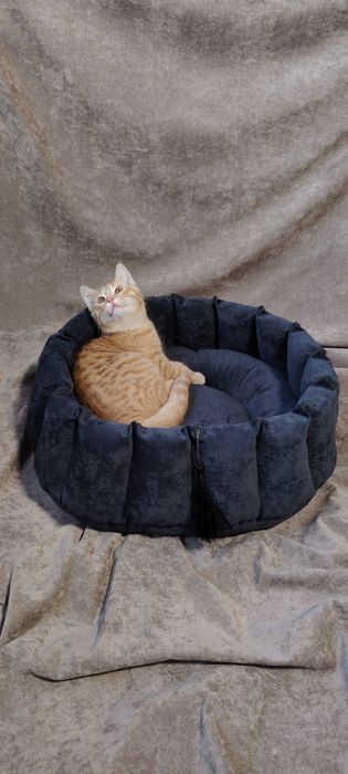 Лежанки для котиков