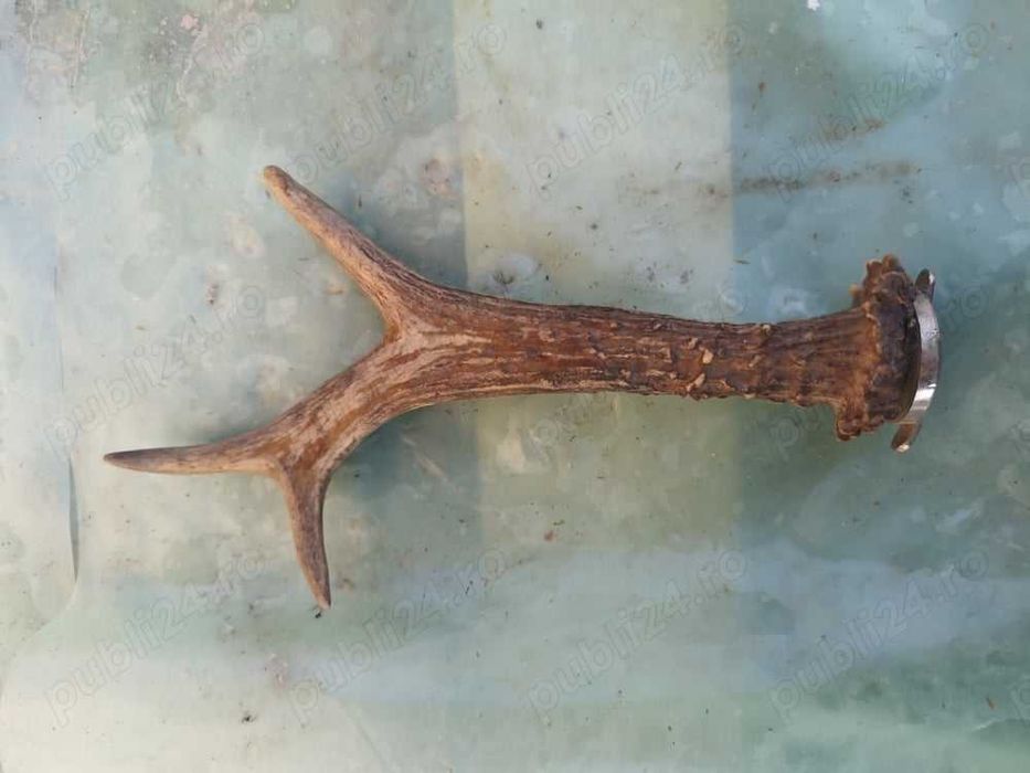 Bibelou de pus in perete