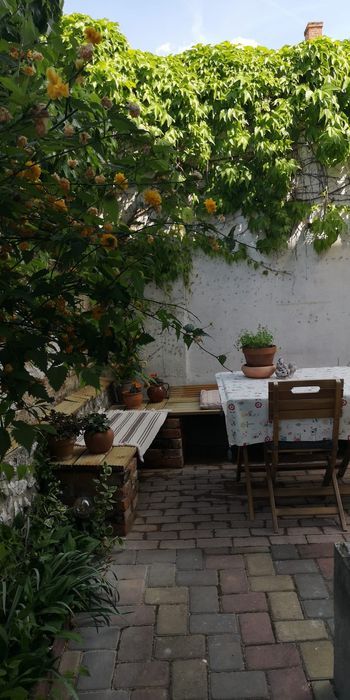 Apartament la casă –ultra central – Oradea

Se oferă spre vânzare apar