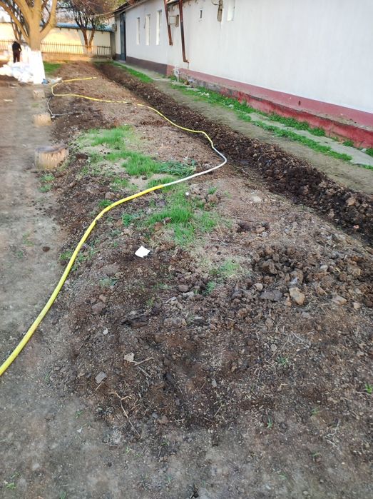 Биогумс табби огит