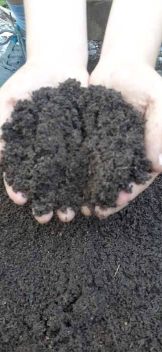 Биогумус табиғи тыңайтқыш