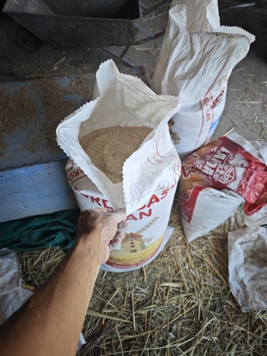 Арпа тартылган местный