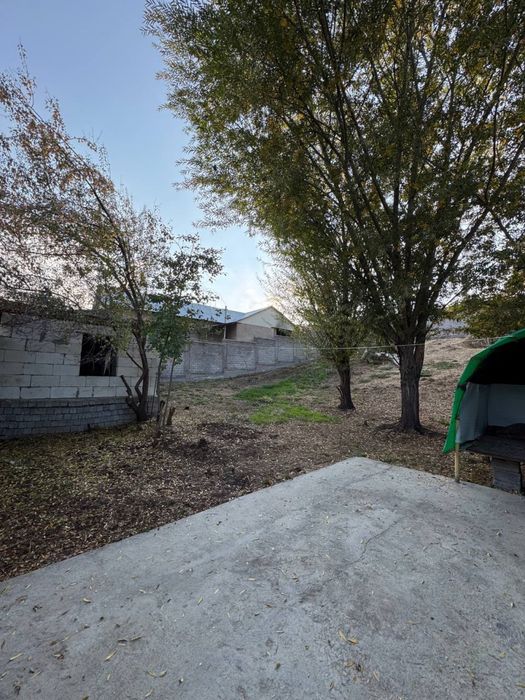 Chimgan yetmasdan yer sotladi